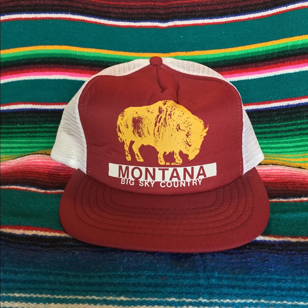 Big Sky Country Buffalo Montana Hat